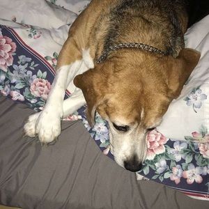 Meet your Posher, Aisling